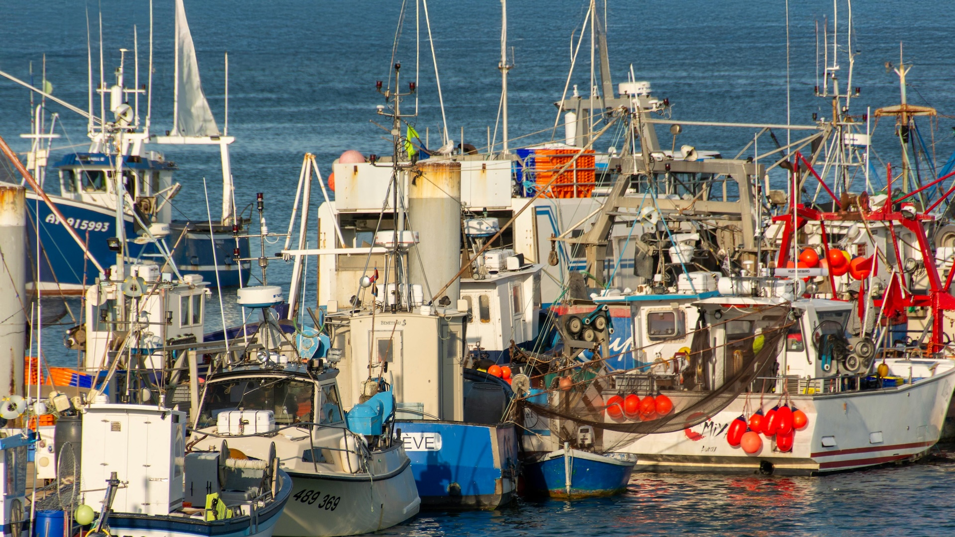 Colorful Fishing Boats Docked in a Busy Port